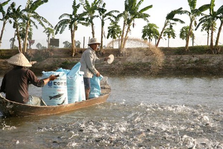 xuat-cap-chlorine-phong-dich-thuy-san