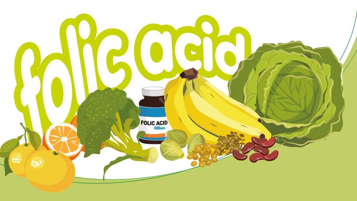 Folate-giam-nguy-co-dot-quy