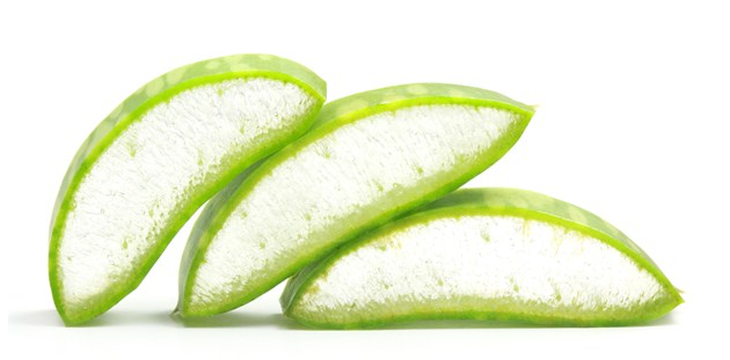 lô hội trị chàm