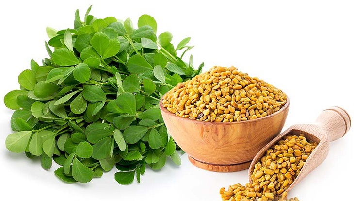 Cây và hạt thảo linh lăng (fenugreek)
