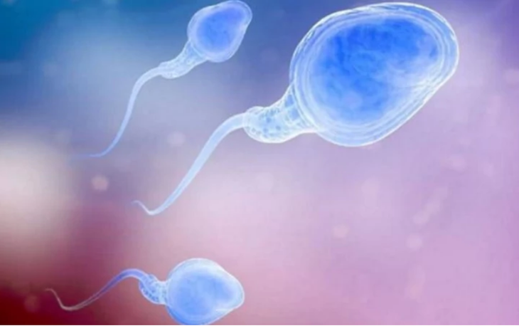 Bước tiến về loại thuốc điều trị vô sinh ở nam giới