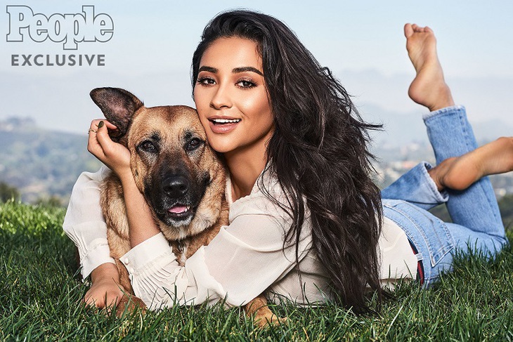 Shay Mitchelle từng giành giải thưởng Teen Choice Awards