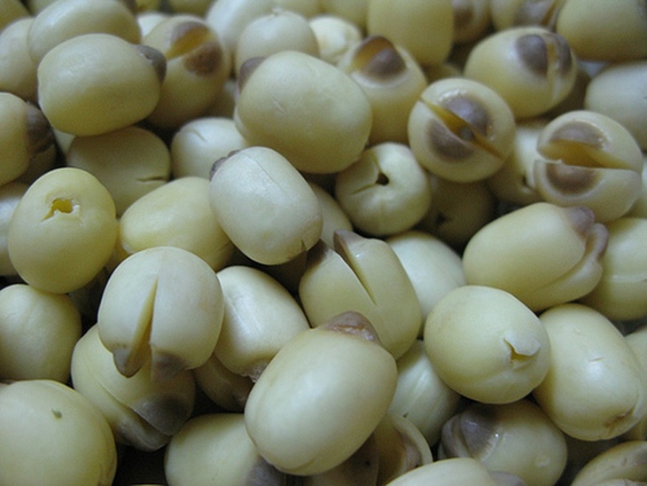 hạt sen chữa mất ngủ