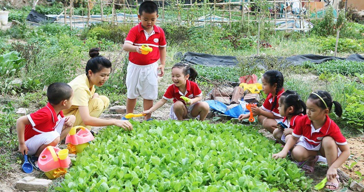 Chăm sóc vườn rau, một hoạt động bổ ích cho các em nhỏ