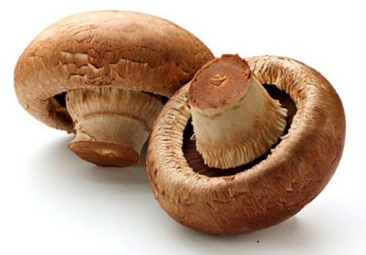 nấm hương tốt cho răng 