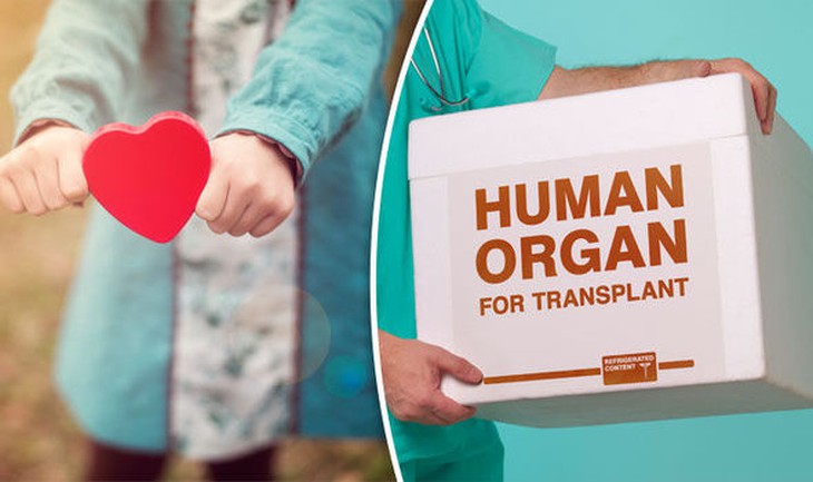 Hơn 50 nghìn người ở Anh quốc được cứu sống nhờ tạng hiến
