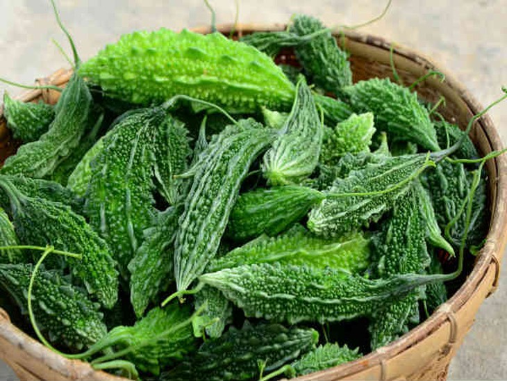 mướp đắng phòng bệnh tiểu đường