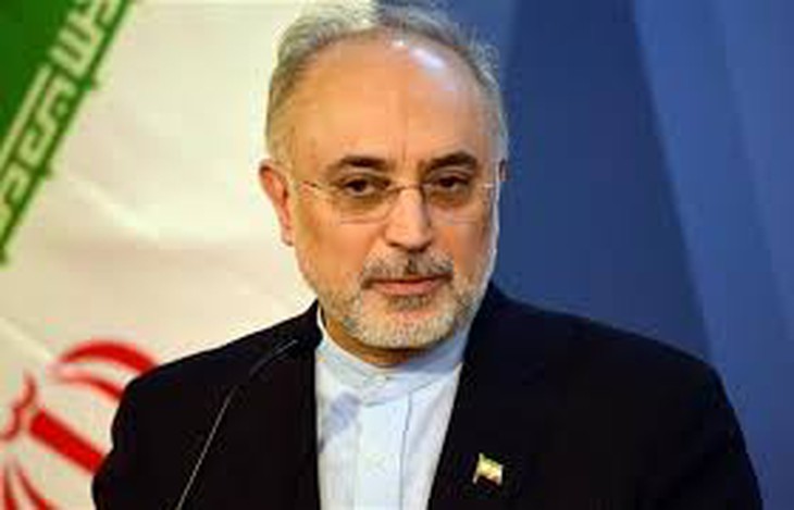 Người đứng đầu Cơ quan nguyên tử Iran Ali Akbar Salehi