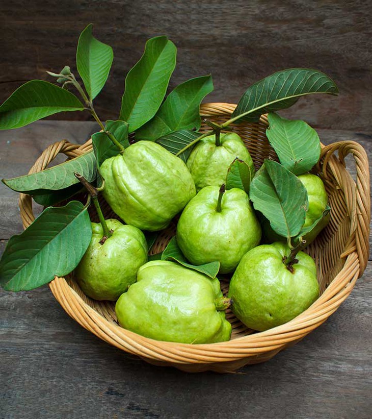 Ổi vừa thơm ngon lại nhiều công dụng