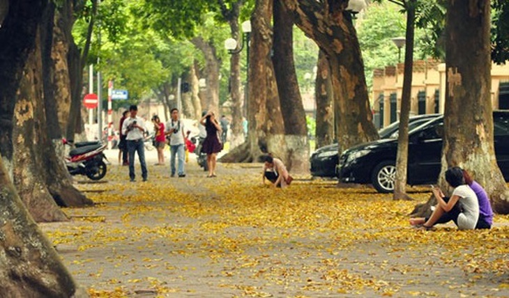 Mùa thu cảnh lá vàng rơi, cành khô lá úa... lòng người hay thương cảm, man mác buồn… dễ rơi vào trạng thái trầm cảm