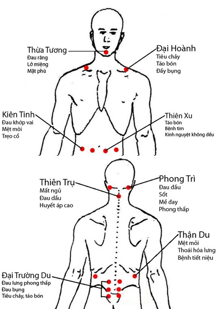 Cứu huyệt dưỡng sinh