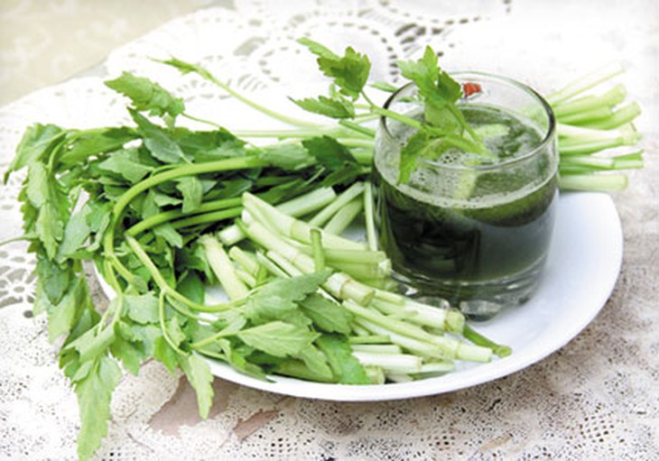 Rau cần ép nước trị đái tháo đường