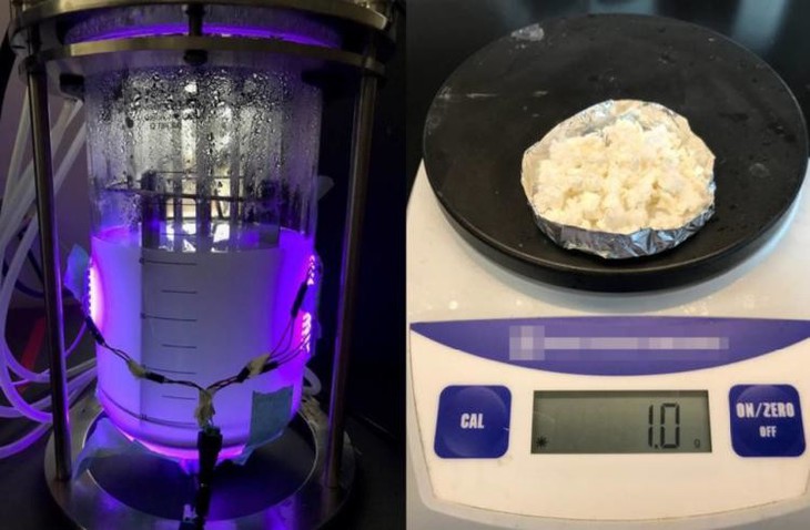 Một gram nhựa có thể phân hủy sinh học được tạo ra bởi vi khuẩn nanobio-hybrid. 