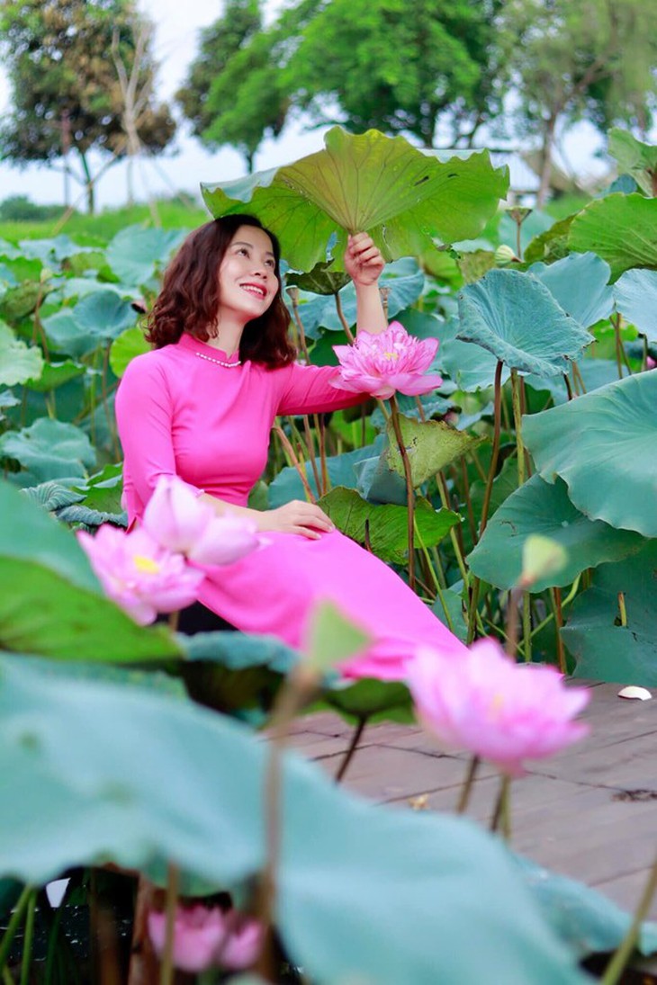 Sen không chỉ là biểu tượng của cái đẹp mà còn là vị thuốc chữa bệnh trong y học cổ truyền phương Đông