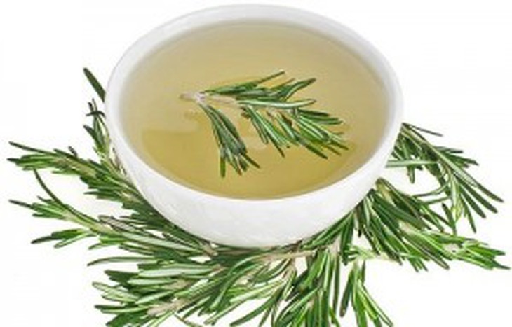 lá hương thảo giảm gãy rụng tóc