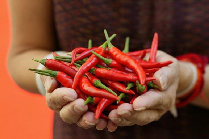 Lợi hại của việc ăn cay