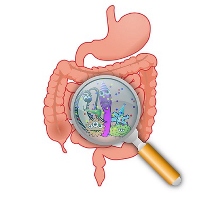 Mô phỏng hình ảnh nấm Candida