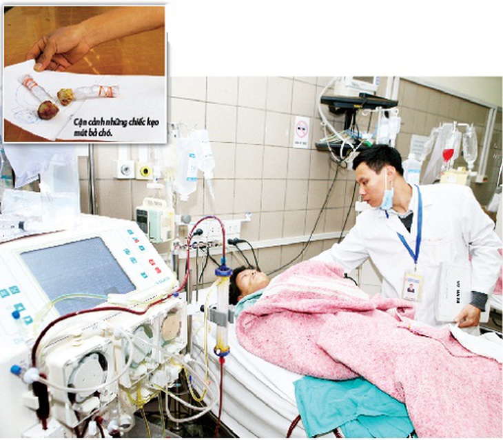 Từ vụ tử vong vì bả chó bằng “kẹo độc”: Ẩn họa khôn lường từ thịt chó