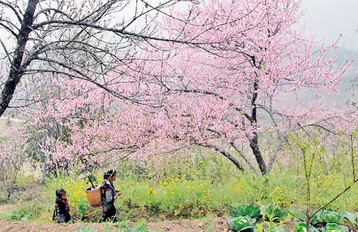 Chợ phiên ngày Tết