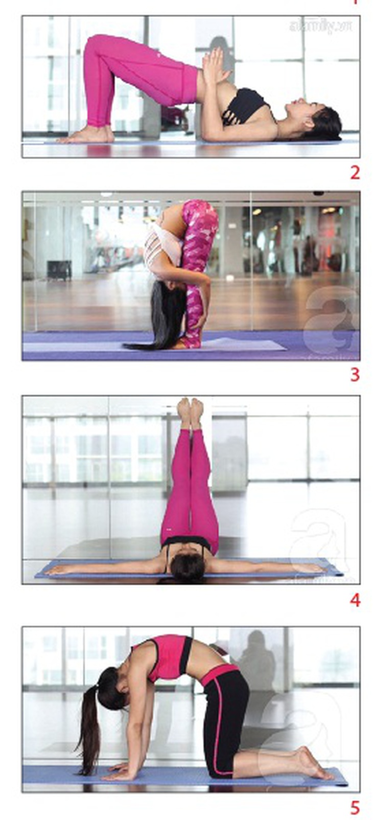 5 động tác yoga giảm stress