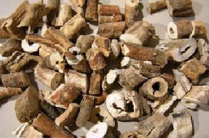 Vị thuốc đan bì có tác dụng thanh nhiệt lương huyết, hoạt huyết hóa ứ, điều kinh.