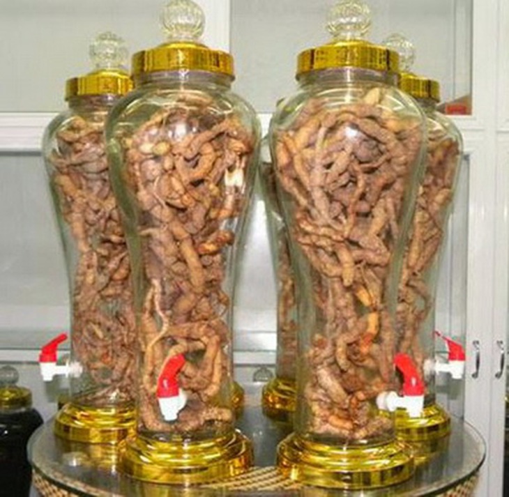 Rượu ba kích.