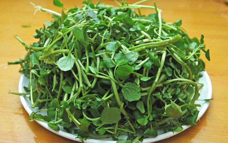Thường xuyên ăn rau cải xoong chứa tỷ lệ iốt khá cao.