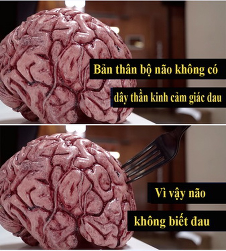 Não không biết đau.