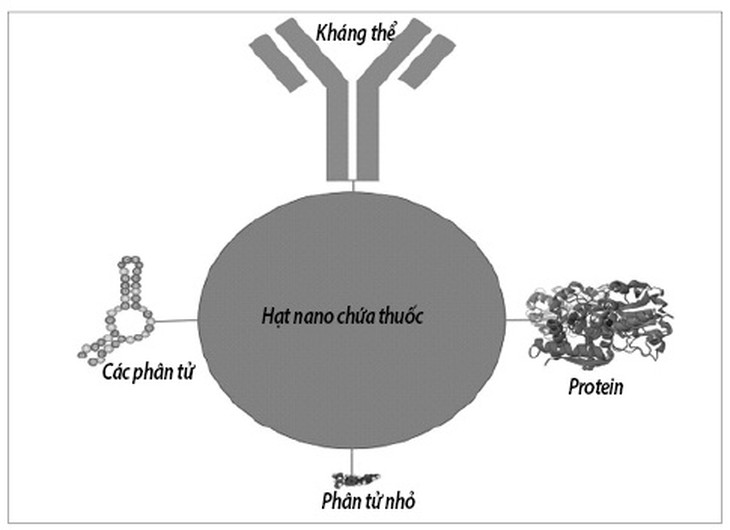 Công nghệ nano trong phát triển các thuốc điều trị ung thư phổi.