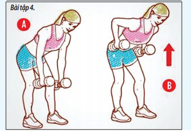bài tập tạ đánh tan mỡ thừa 4
