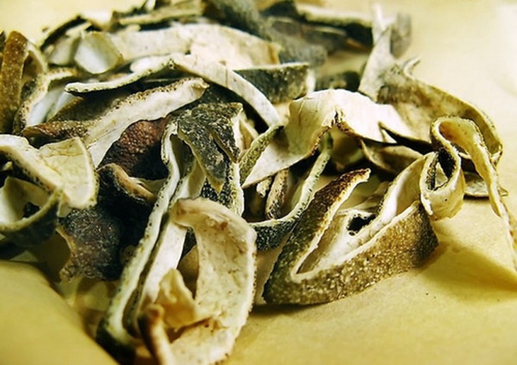 Thanh bì (vỏ quả quýt phơi sấy khô) là vị thuốc trong bài “Thanh tỳ ẩm” trị sốt rét kéo dài.