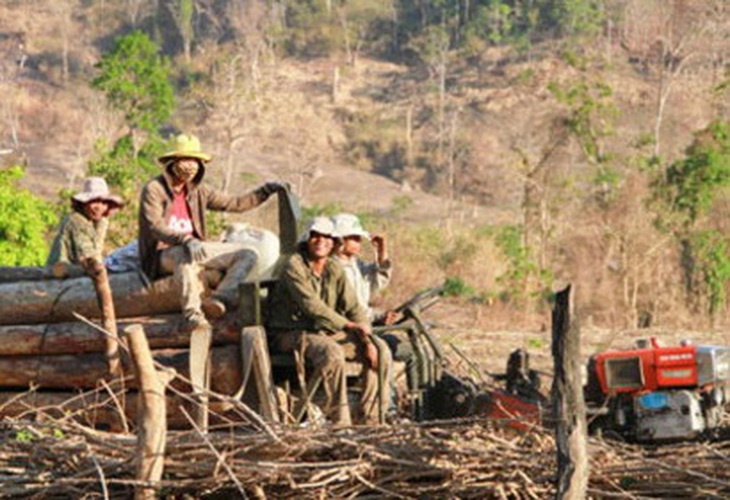 Ngày nay, rừng phòng hộ Chư Mố đã bị tàn phá hàng loạt. Người dân dùng rựa để phát cây nhỏ và dùng cưa máy để hạ cây lớn, gỗ trong rừng phòng hộ Chư Mố bị xẻ thành hộp.