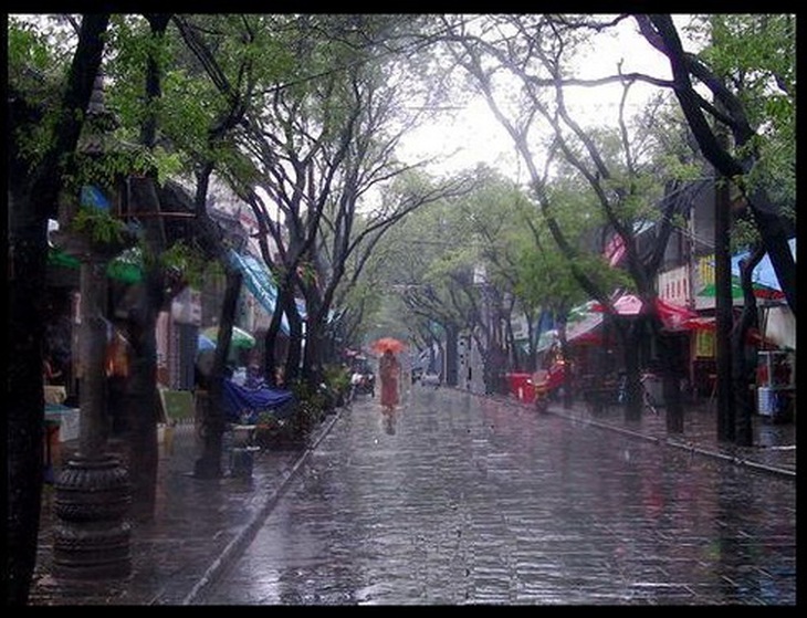 ... Ngay đường nhựa cũng bốc lên cái mùi rất đặc trưng của cơn mưa đầu mùa mà những ai ở cao nguyên đều từng biết.