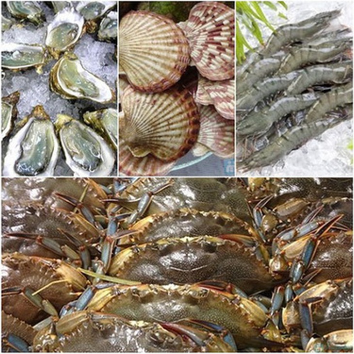 Nên chọn mua ăn hải sản tươi sống vì chúng đảm bảo giá trị dinh dưỡng ngon, bổ.
