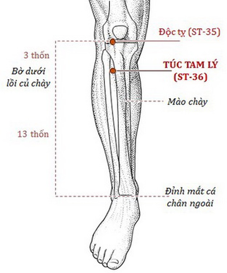 Xoa bóp và day bấm các huyệt vị có tác dụng hoạt huyết thông mạch, thư cân giảm đau, phòng ngừa bệnh tật.