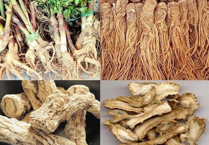 Đương quy là vị thuốc bổ huyết, bồi bổ sức khỏe, trị suy nhược cơ thể.