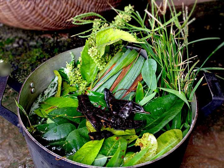 Nồi lá xông gồm lá sả, hương nhu, lá bưởi, tía tô, lá chanh… xông trị cảm cúm rất hiệu quả.