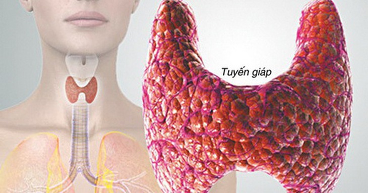 Tuyến giáp bị rối loạn là một nguyên nhân khiến cơ thể luôn cảm thấy lạnh.