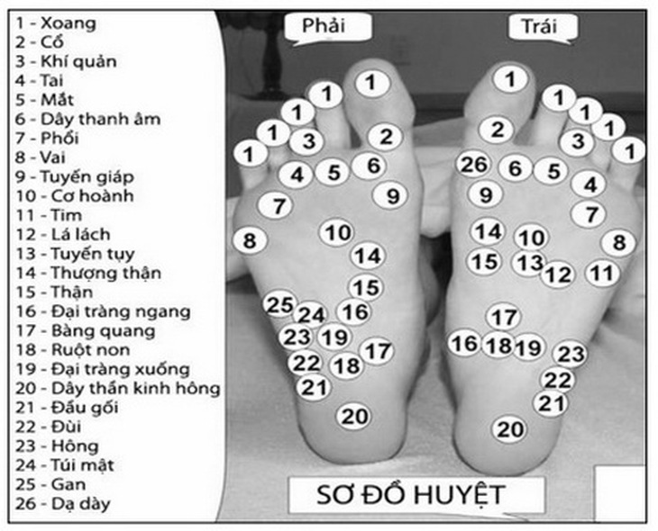 Các huyệt đạo ở lòng bàn chân tương ứng với các cơ quan trong cơ thể.