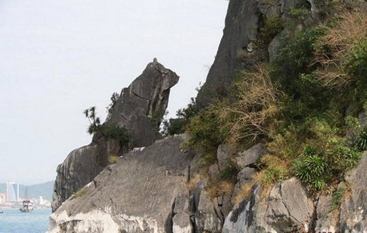 Hòn Chó Đá ở Hạ Long. Ảnh: V.T