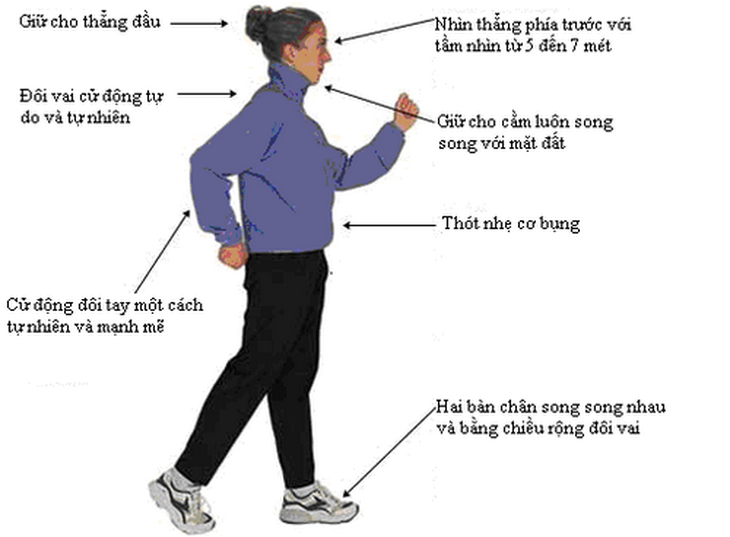 Đi bộ có tính đại chúng cao, an toàn, đơn giản, dễ tập, góp phần tăng cường khả năng miễn dịch của tế bào, nâng cao sức đề kháng, giảm nguy cơ mắc bệnh.
