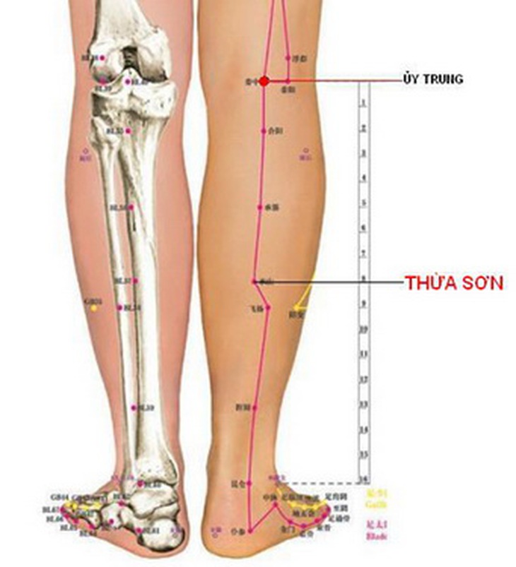 Vị trí huyệt huyết hải, âm lăng tuyền, túc tam lý.