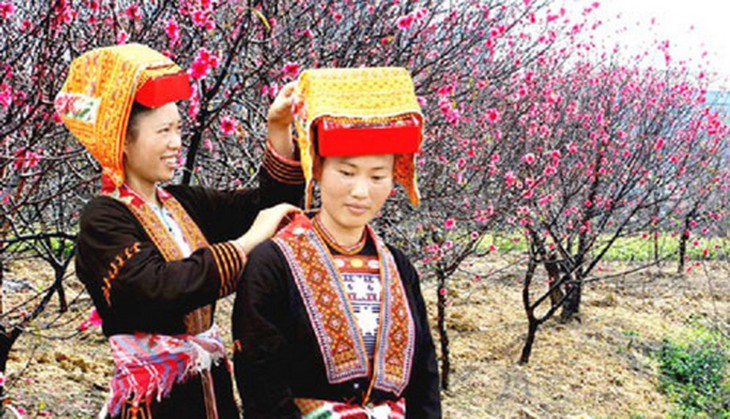Tạo dáng bên vườn đào.