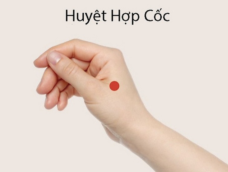 huyệt hợp cốc