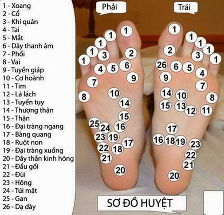 Bàn chân có hệ thống thần kinh trung ương và các huyệt vị quan trọng.