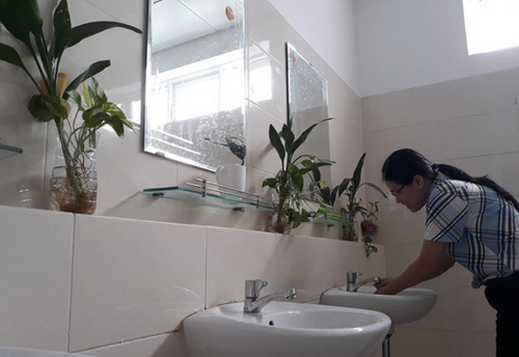 Các chậu cây cảnh xinh xắn khiến không gian khu vệ sinh bệnh viện Q.Gò Vấp tiện nghi như... “khách sạn”.