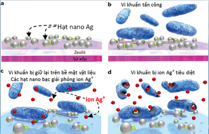 Cơ chế hoạt động của nano bạc.