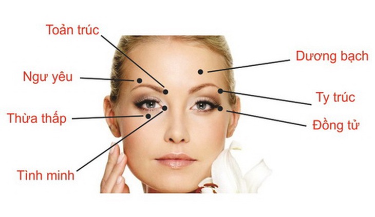 Vị trí các huyệt vùng mặt điều trị liệt dây thần kinh số VII.