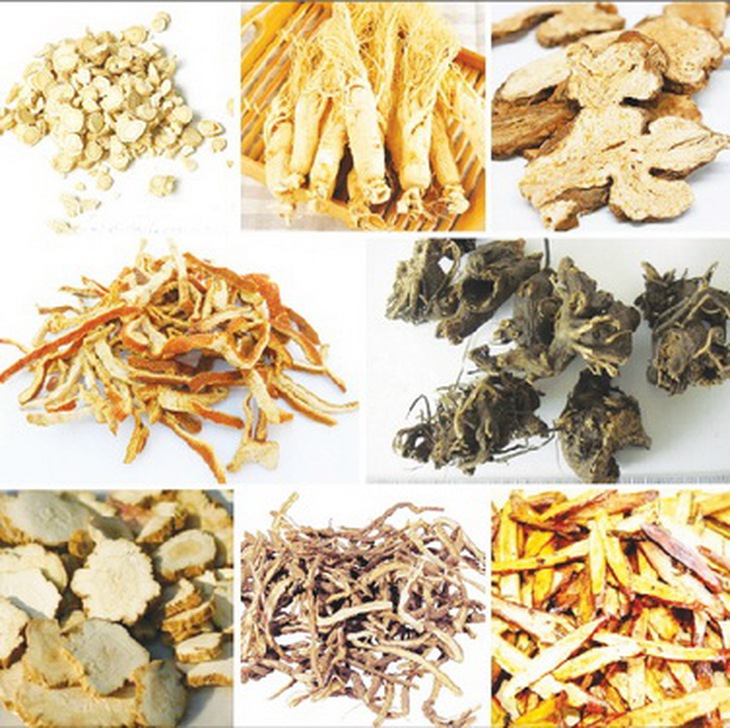 Các vị thuốc trong bài thuốc bổ trung ích khí.