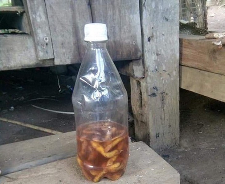 Chai rượu ngâm rễ cây khiến hai cậu cháu ở Quảng Nam mất mạng.